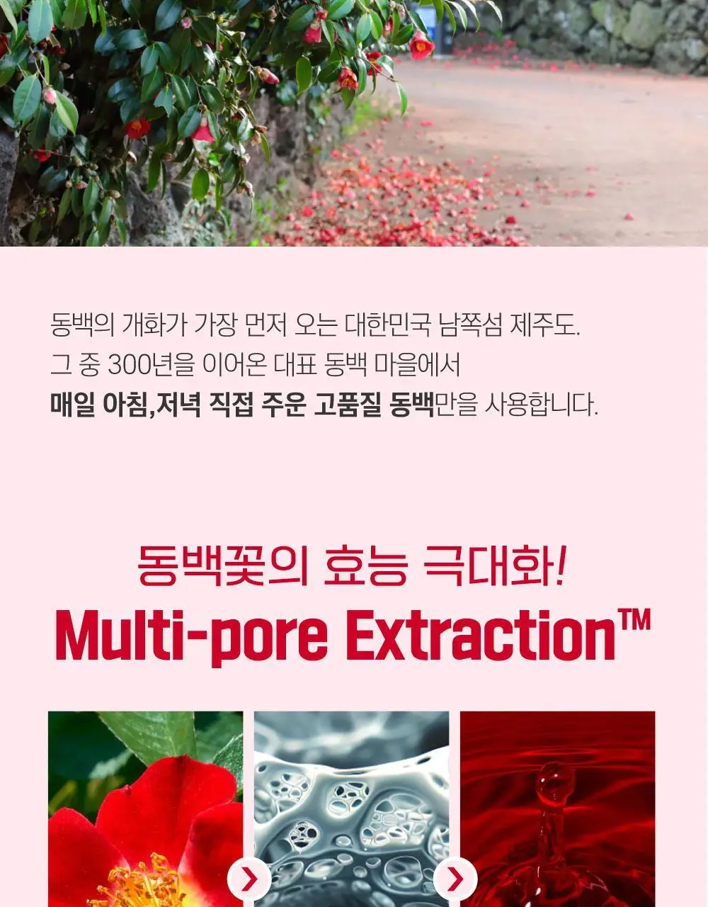 [속광탄력/콜라겐팩] 라운드랩 동백 딥 콜라겐 탄력 겔 마스크 4매 (온) 상세페이지 30